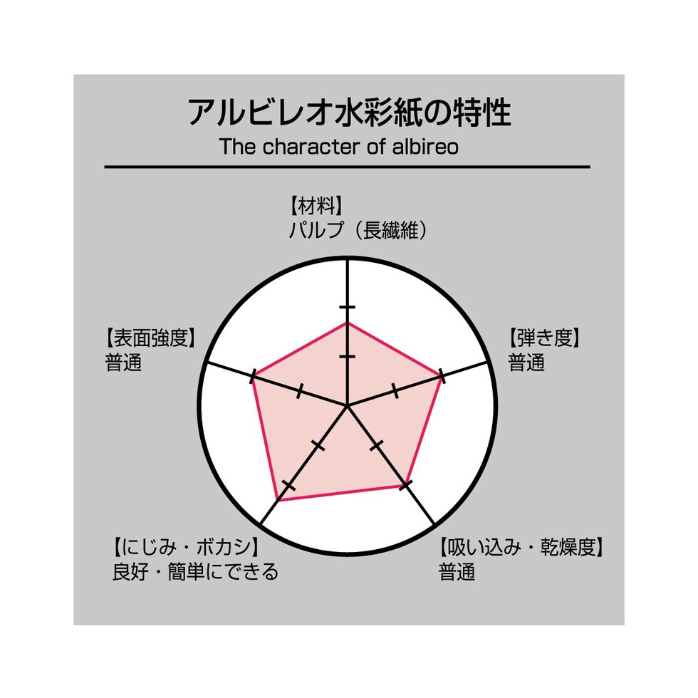 ホルベイン アルビレオ水彩紙 スプリング 151g 中目 AS-F6 (270133)