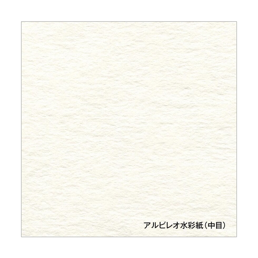 ホルベイン アルビレオ水彩紙 スプリング 151g 中目 AS-F6 (270133)