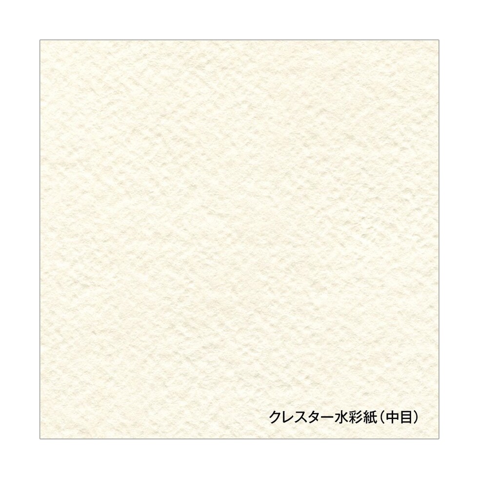 ホルベイン クレスター水彩紙 スプリング 210g 中目 CS-SM (270141)