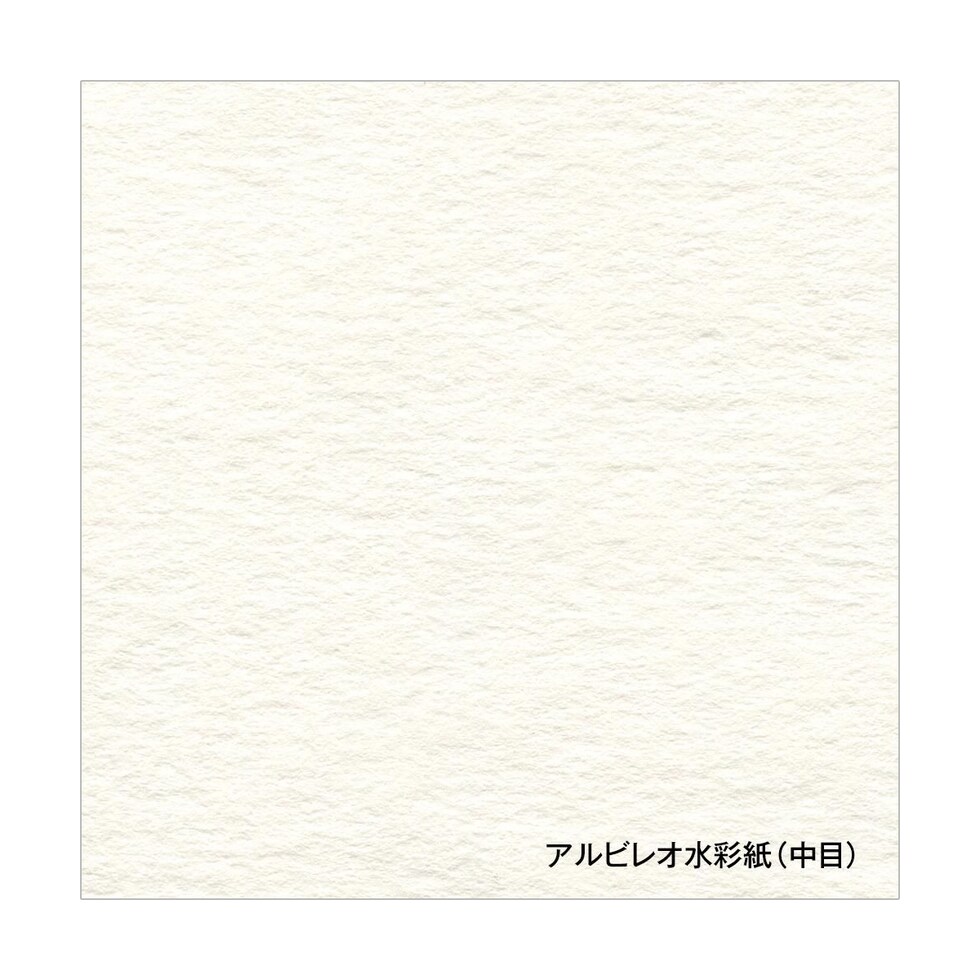 ホルベイン アルビレオ水彩紙 218g 中目 ポストカード 50枚入り (270261)