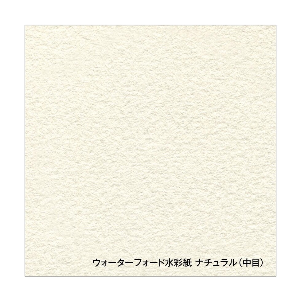 ホルベイン ウォーターフォード水彩紙 ナチュラル 300g 中目 ポストカード 30枚入 (270900)
