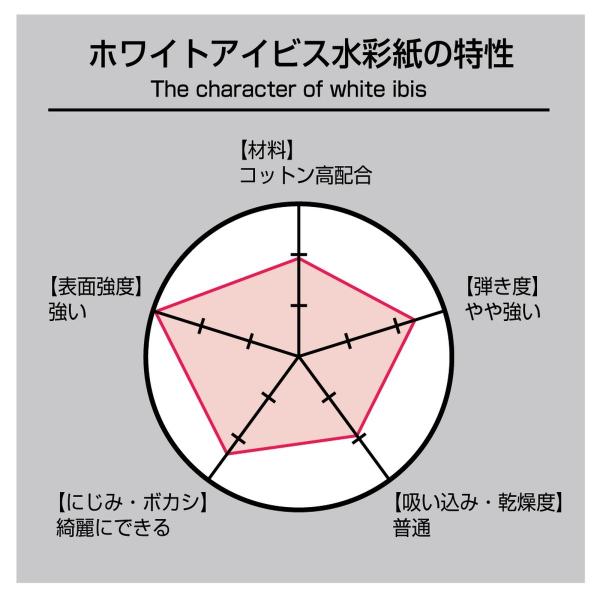 ホルベイン ホワイトアイビス水彩紙スケッチブックブロック SMWIB-SM(271301)