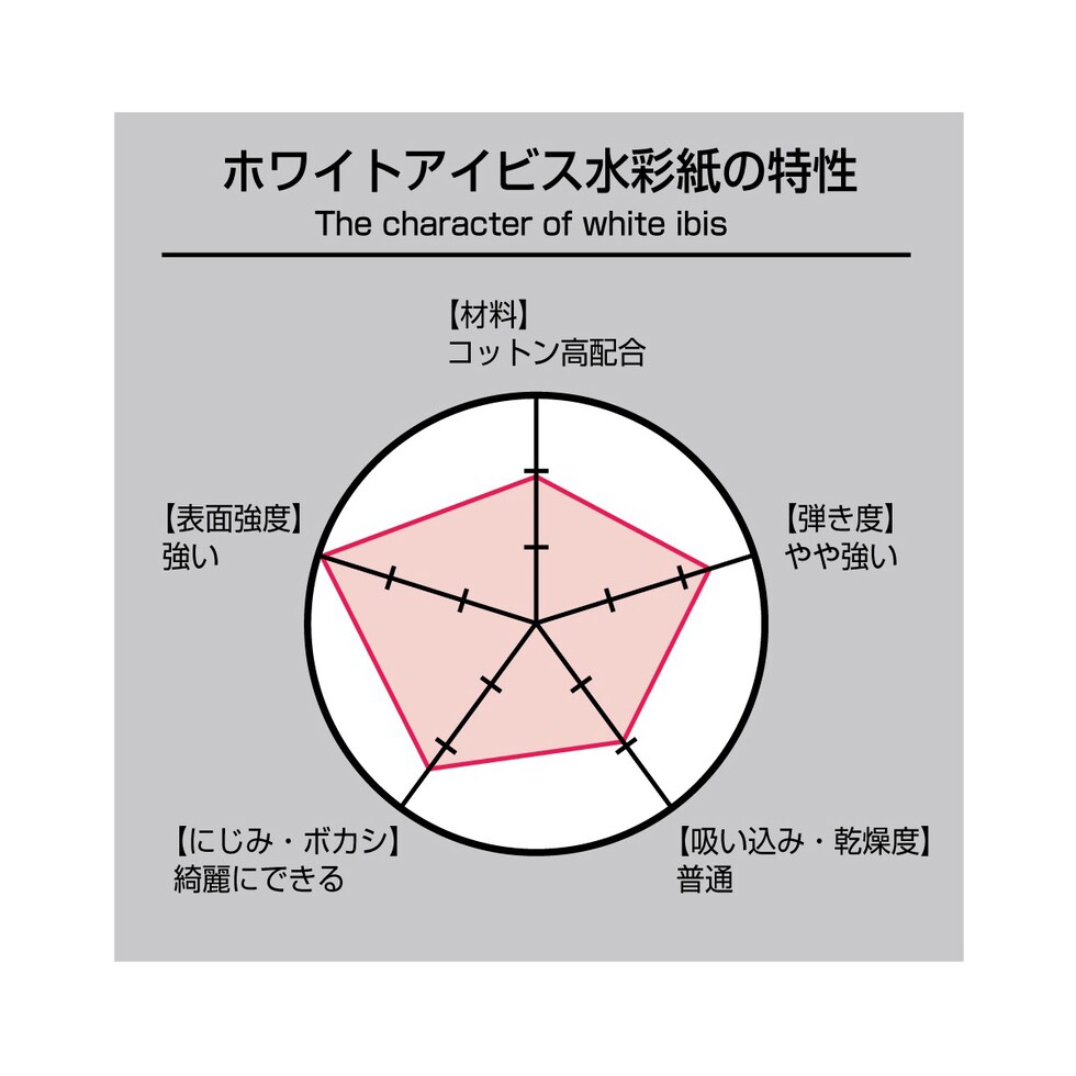 ホルベイン 大きなポストカード ホワイトアイビス水彩紙 300g 中目 10枚入 (270478)