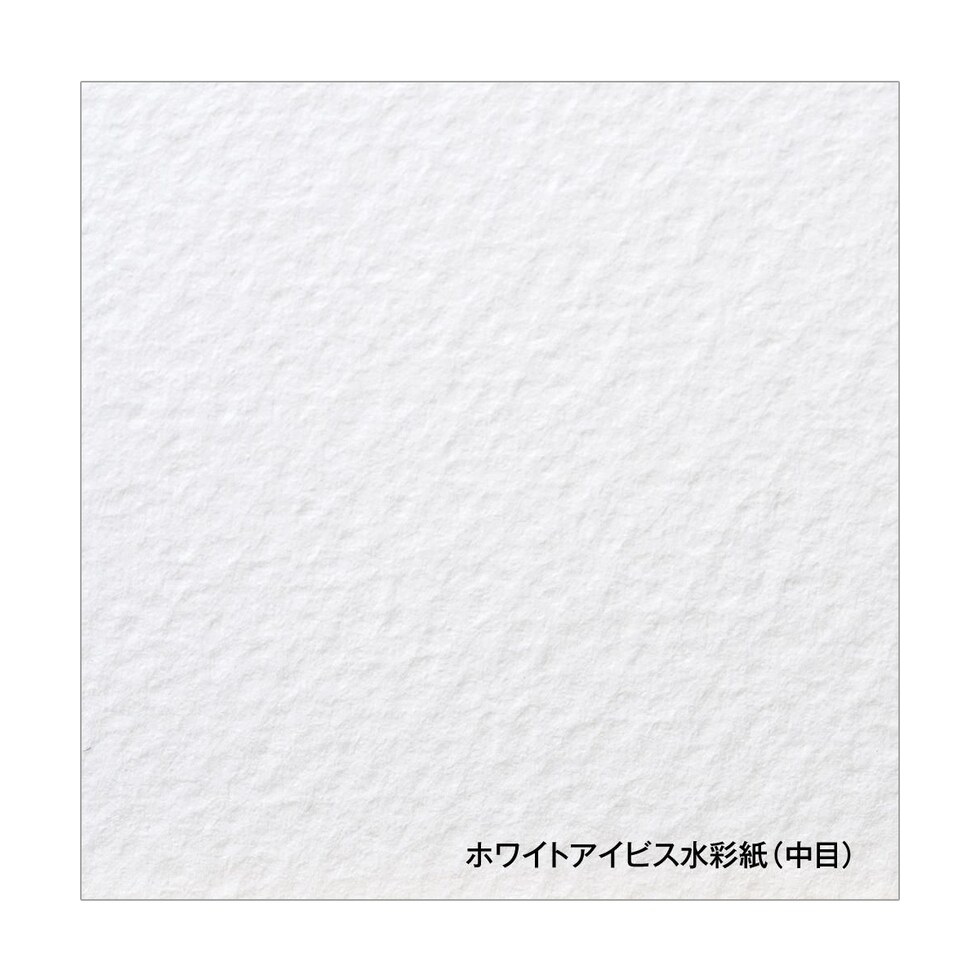 ホルベイン ホワイトアイビス水彩紙 中目 スプリング  WIS-F4 (271314)