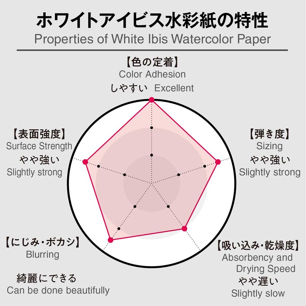 ホルベイン ホワイトアイビス水彩紙 細目 ブロック(15枚) WIBH-SM (271401)