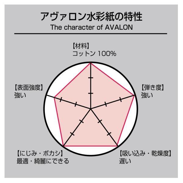 ホルベイン アヴァロンブロックAVB-SM(271001)