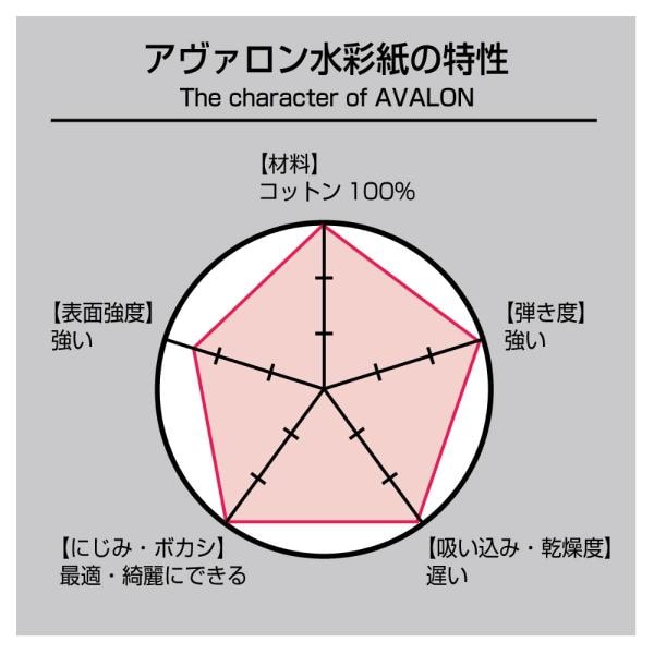 ホルベイン アヴァロンブロックAVB-F3(271002)