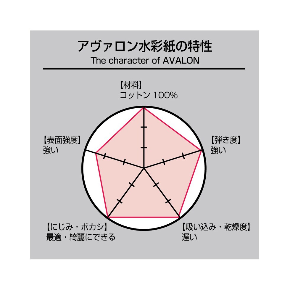 ホルベイン アヴァロン水彩紙  300g 中目 ポストカード AV-PCP 30枚入 (271010)