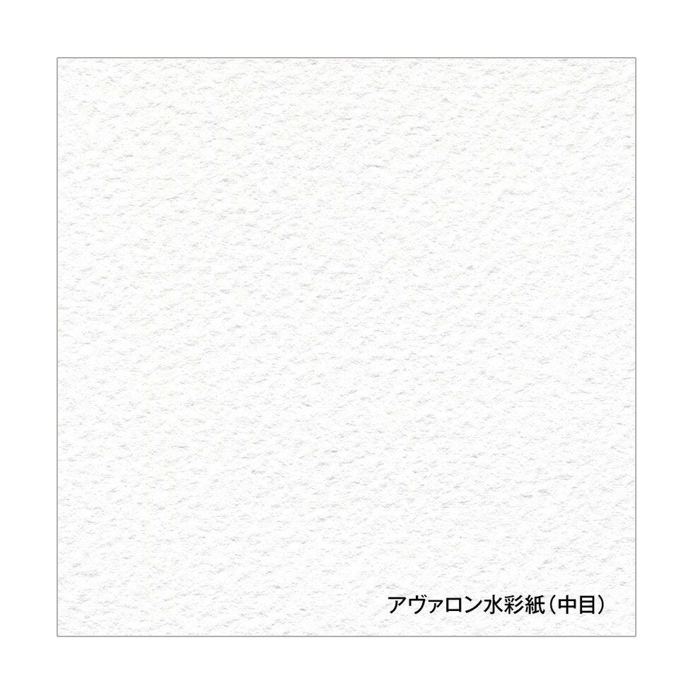 ホルベイン アヴァロン水彩紙 スプリング 300g 中目 AVS-F6 (271124)