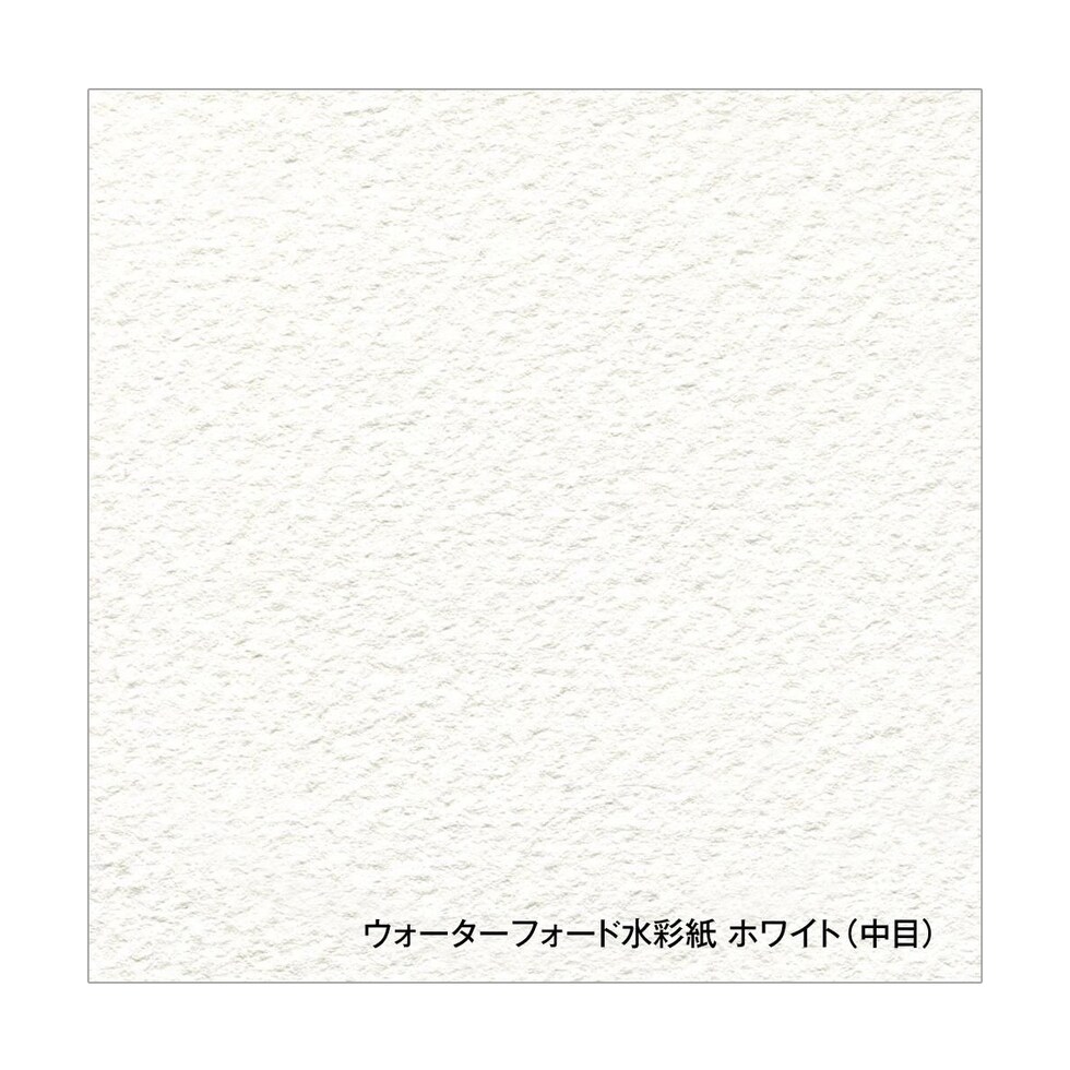 ホルベイン ウォーターフォード水彩紙 ホワイト スプリング 300g 中目 EHS2-F4 (270926)