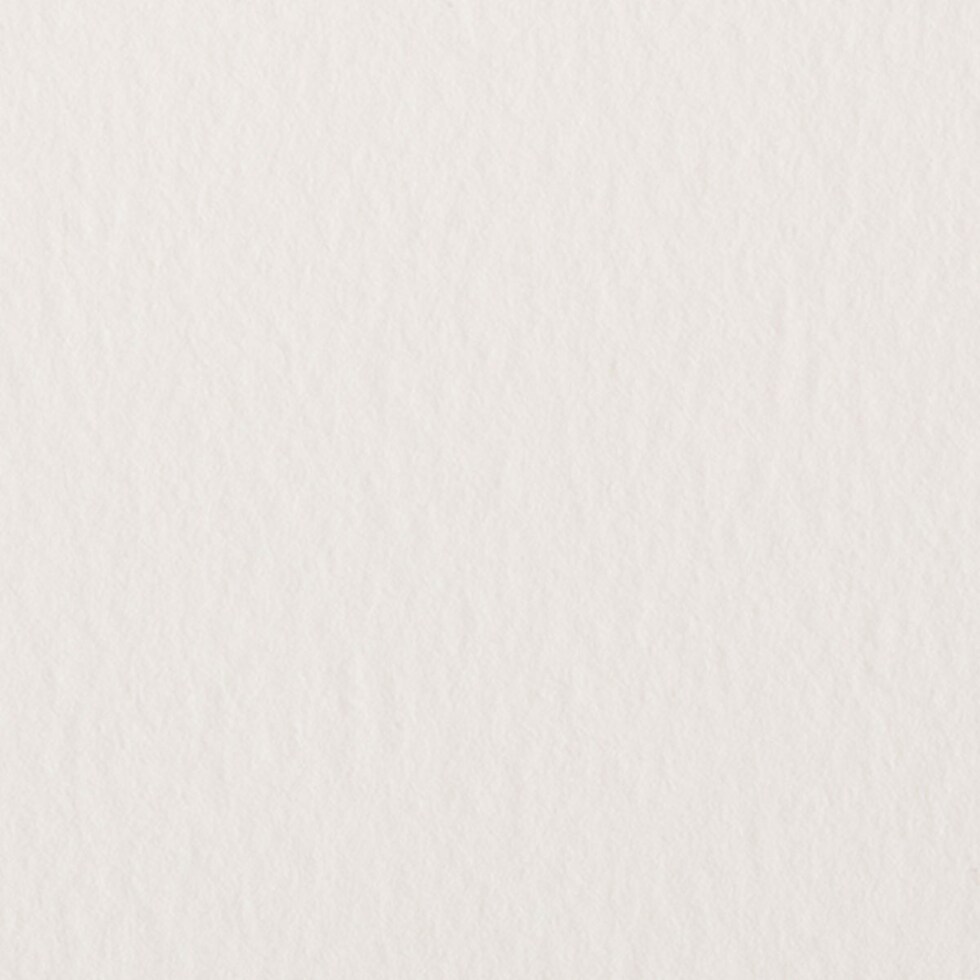 ミューズ ペインターブック F0 W-8000 ワトソン厚口