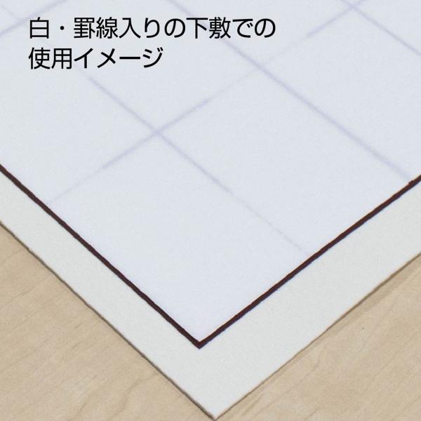 あかしや 書道半紙「真白」 100枚入り AO-31H