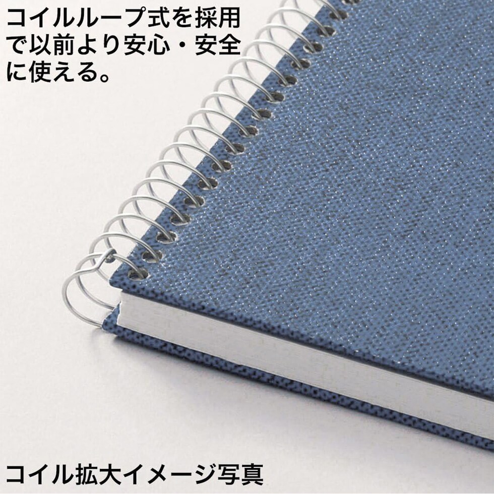 マルマン アーチストメダリオン F8 S58A-02 ブルー