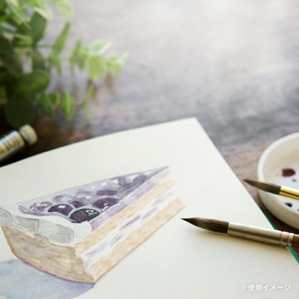 マルマン スケッチブック ヴィフアール F3 中目 S23VA (S23VA)