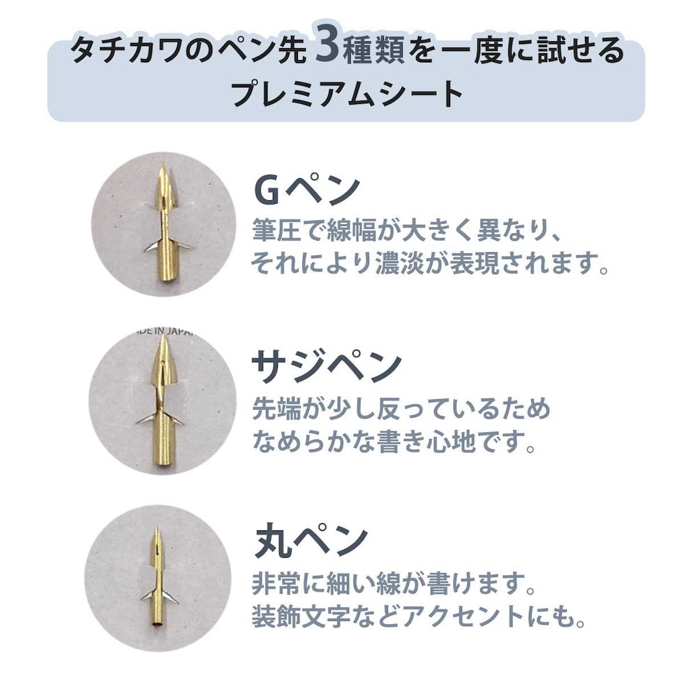 立川ピン製作所 タチカワ プレミアムセット シェルフィッシュ ルビーレッド 限定色 (PSSH01R)