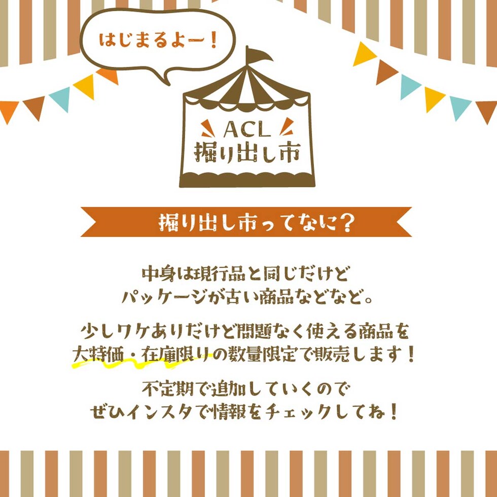 タチカワ はじめてのつけペン体験セット お得版 送料無料(THTS)