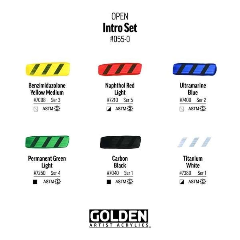 ゴールデン アクリックス オープン 22ml 055 イントロ6色セット (13170055)