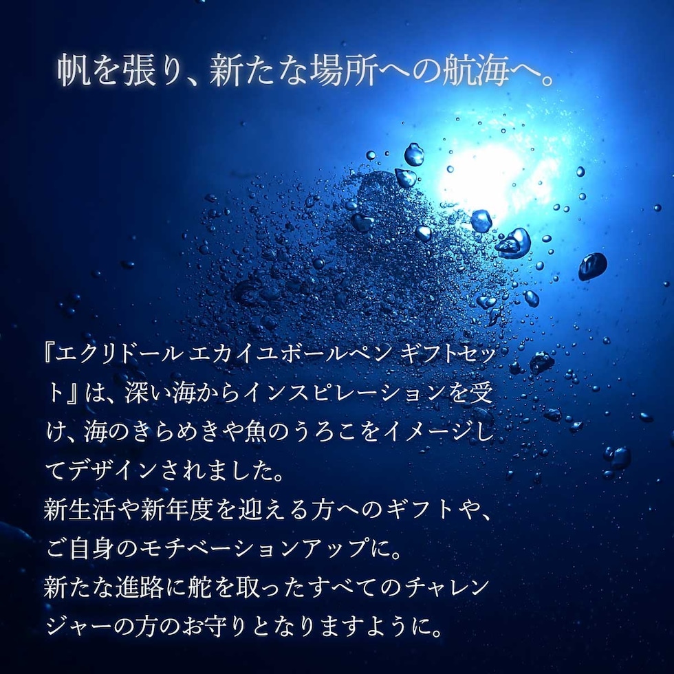 カランダッシュ フレッシャーズ2025 限定品 エクリドール エカイユ ボールペン ギフトセット8902-525 新生活 新入学 プレゼント 入社 お祝い