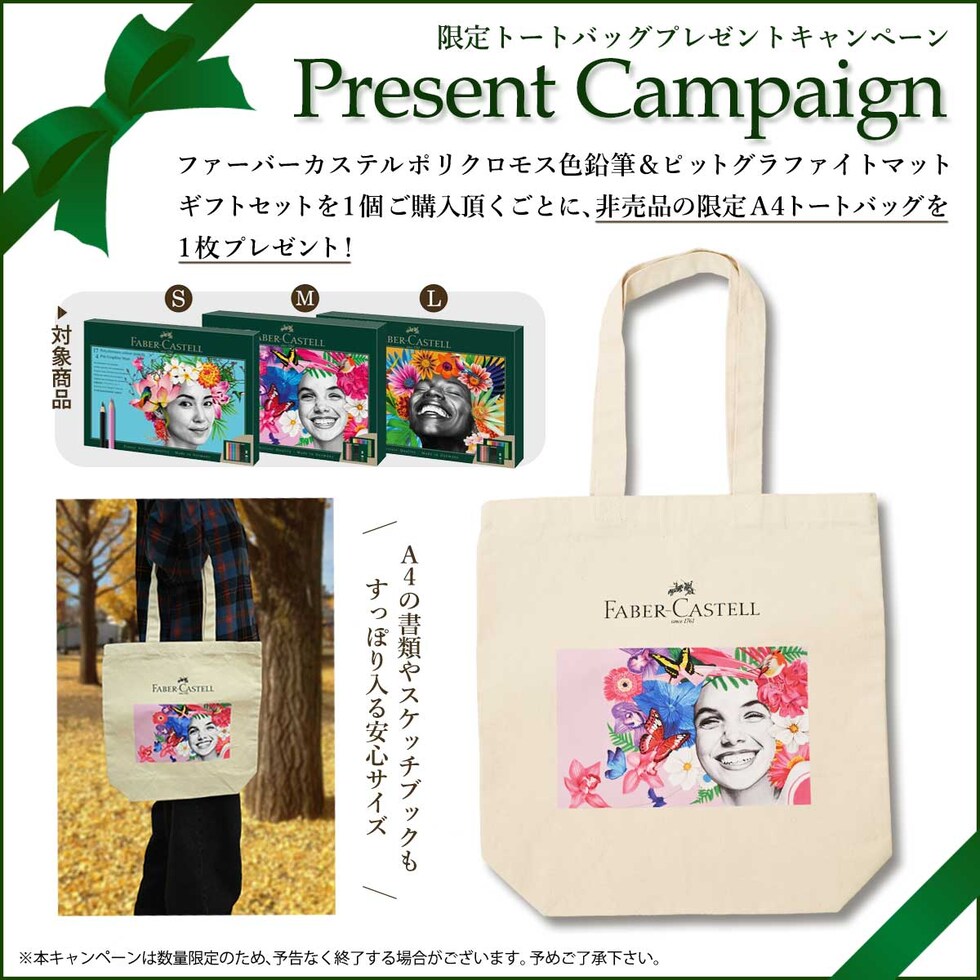 ファーバーカステル ポリクロモス色鉛筆&ピットグラファイトマットギフトセットS (210052) 油彩色鉛筆 プレゼント ラッピング 贈り物 画材
