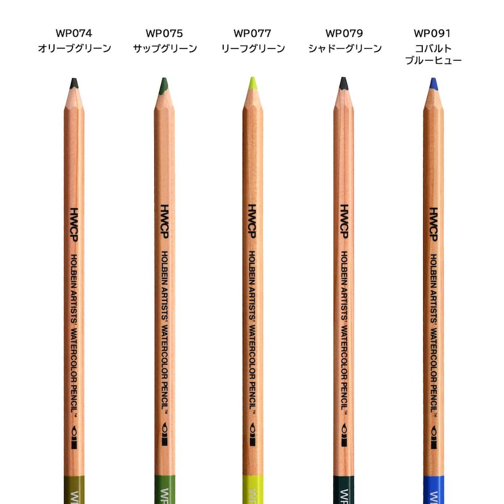 ホルベイン 水彩色鉛筆 WP079 シャドーグリーン (21079)