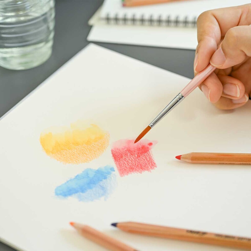 ホルベイン 水彩色鉛筆 WP138 アイボリブラック (21138)