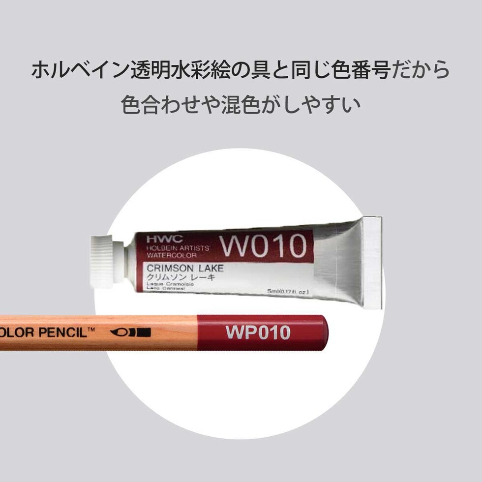 ホルベイン 水彩色鉛筆 WP138 アイボリブラック (21138)