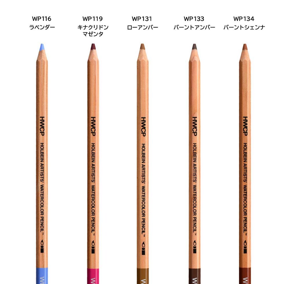 ホルベイン 水彩色鉛筆 WP138 アイボリブラック (21138)