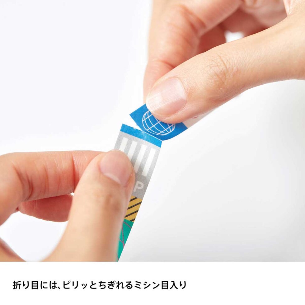 キングジム(Kingjim) キッタジャバラ フウケイ (KITZ001) マスキングテープ シール