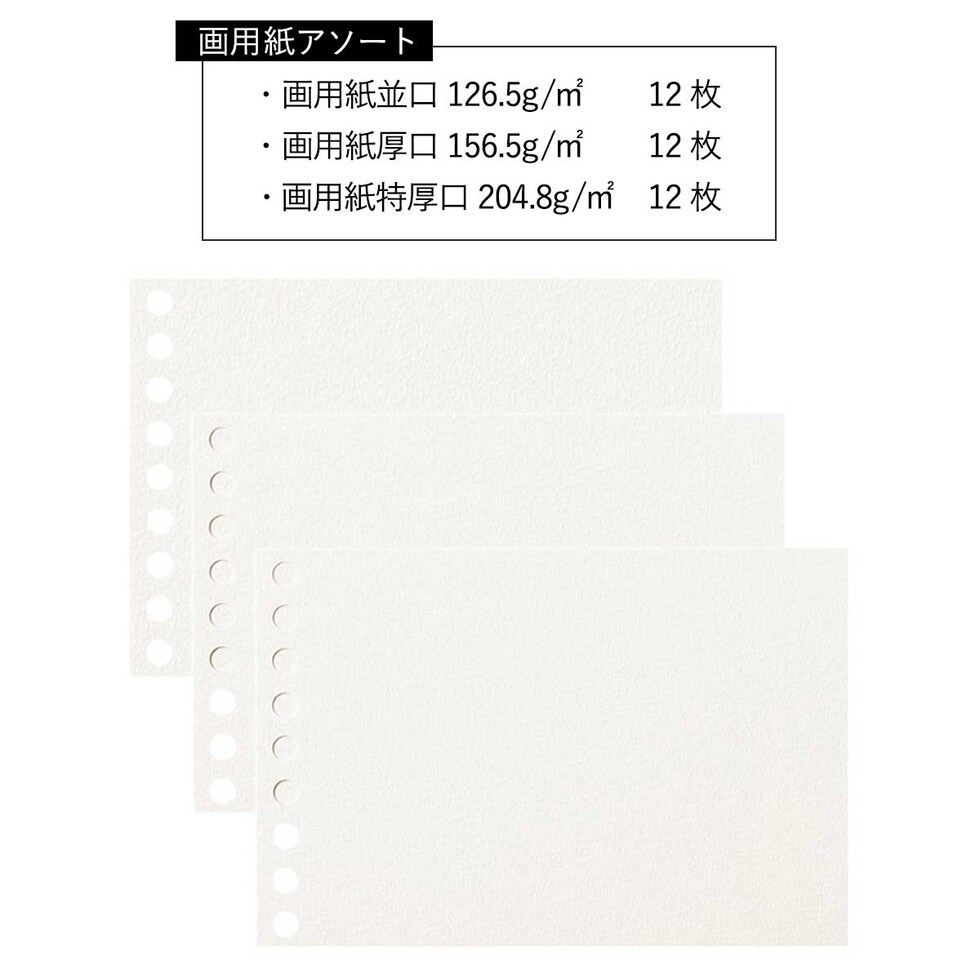 (数量限定) マルマン ルーズリーフミニ アソートパック 全3種 (ヴィフアール/画用紙/クロッキー) アソートパック スケッチブックの日2026 ネコポス可