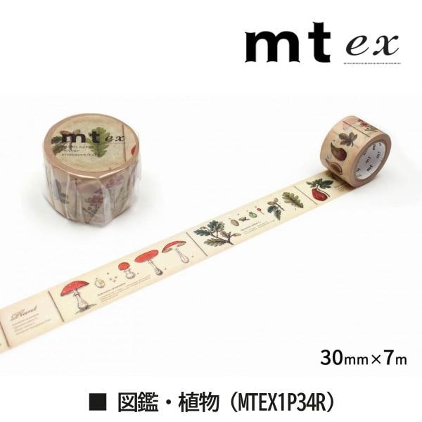 カモ井加工紙 mt ex 玉ひも 30mm×7m (MTEX1P33R)