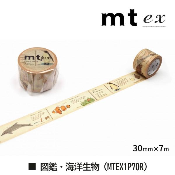 カモ井加工紙 mt ex 英字新聞 30mm×7m (MTEX1P75R)