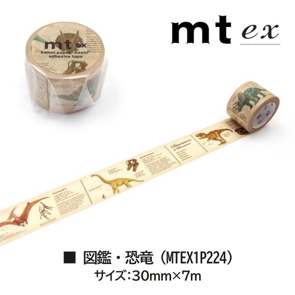 カモ井加工紙 mt ex 図鑑・時計 (MTEX1P225)