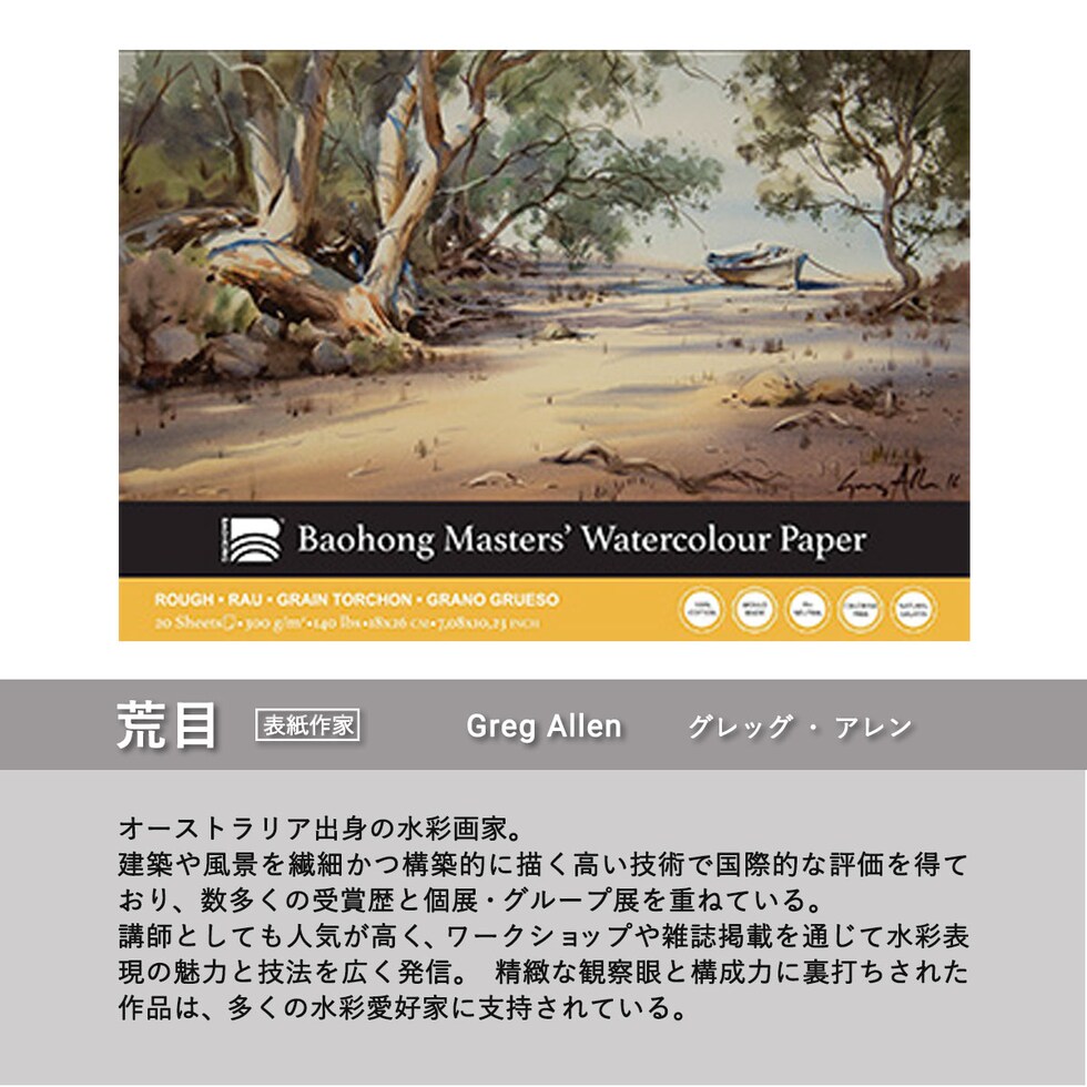 バオホン BAOHONG バオホンマスターズ水彩紙 300g ブロック 180×260mm (荒目/中目/細目) 全3種 20枚入り コットン100% ネコポス可