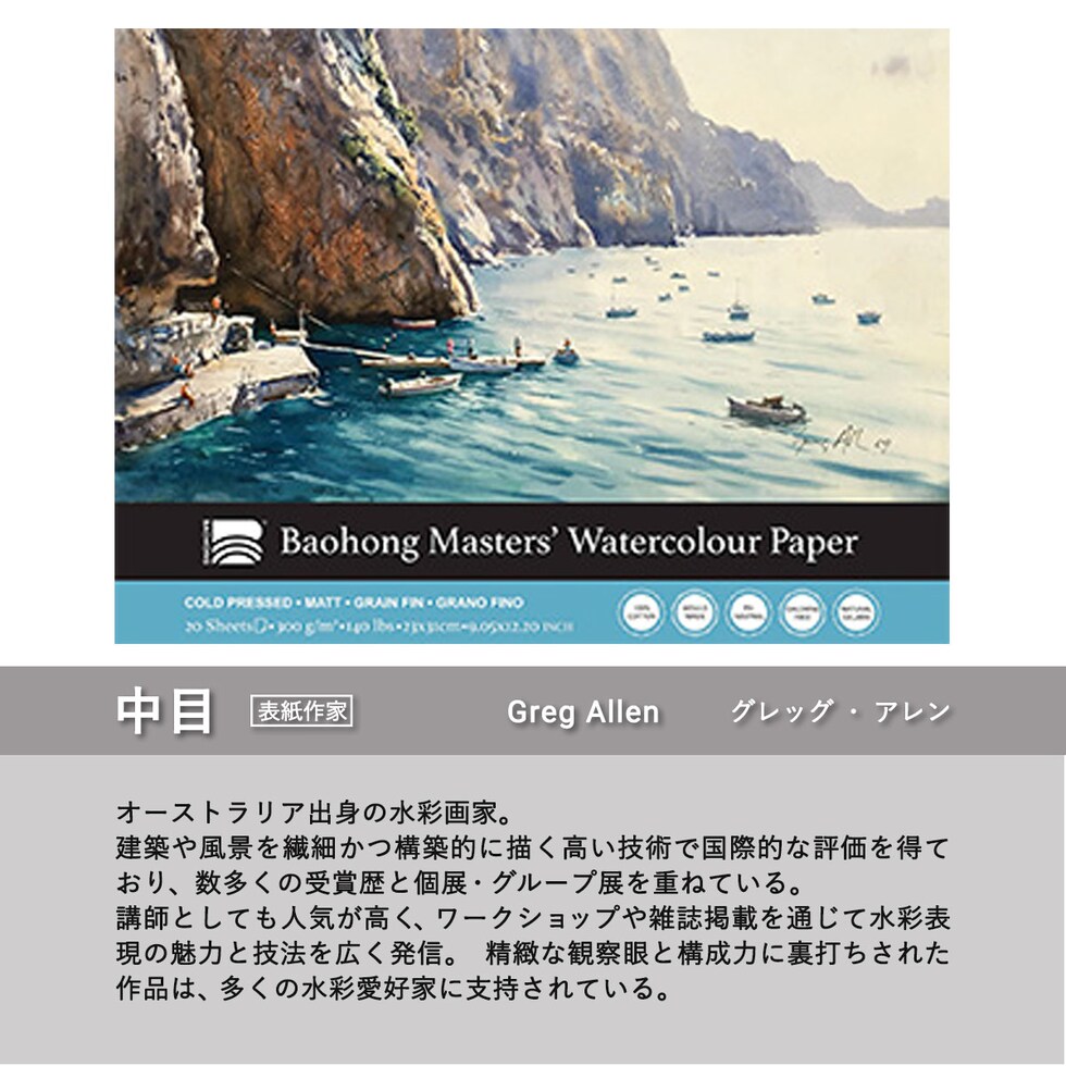 バオホン BAOHONG バオホンマスターズ水彩紙 300g ブロック 230×310mm (荒目/中目/細目) 全3種 20枚入り コットン100% ネコポス可