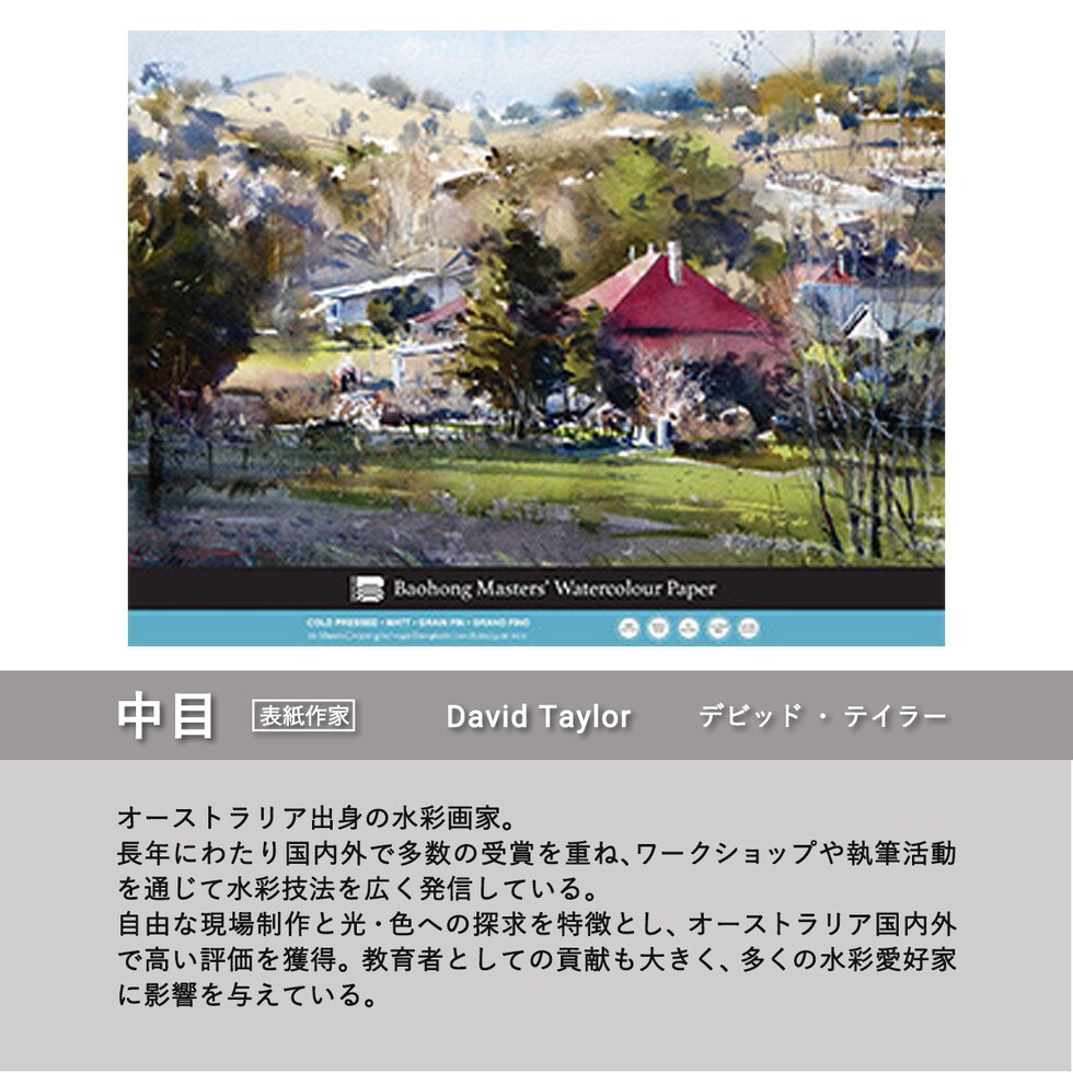 バオホン BAOHONG バオホンマスターズ水彩紙 300g ブロック 460×610mm (荒目/中目/細目) 全3種 20枚入り コットン100%
