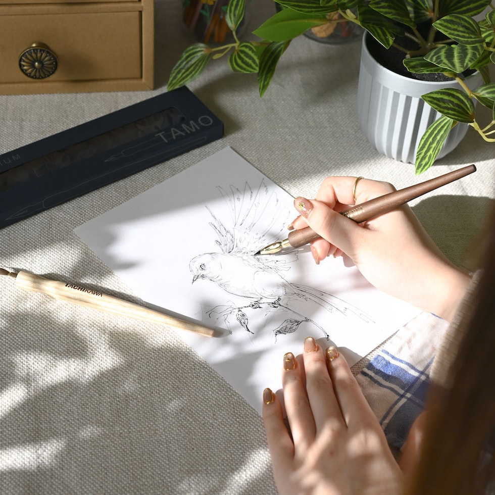 タチカワ プレミアムフリーペン軸 TAMO(タモ) ショコラ (PFTC) ネコポス可