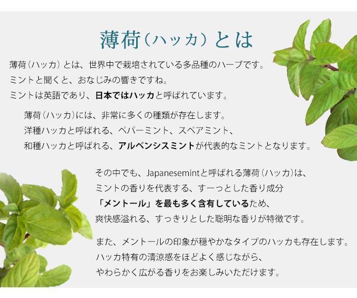 薄荷とは