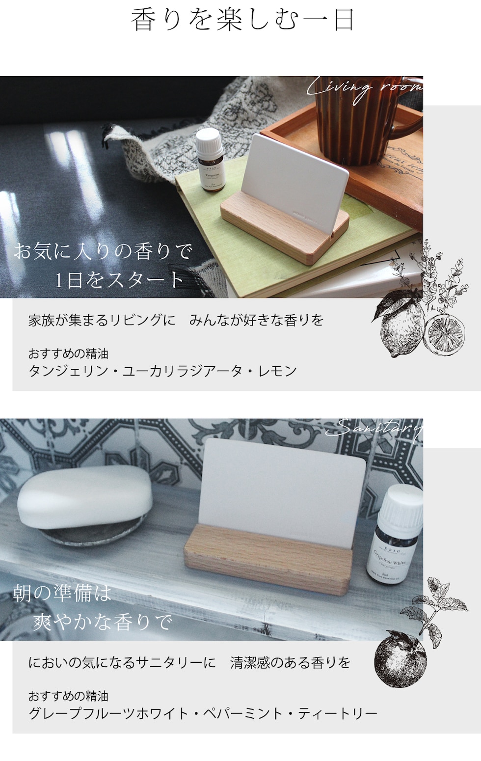 リビング・サニタリー