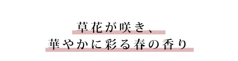 草花が咲き、華やかに彩る春の香り