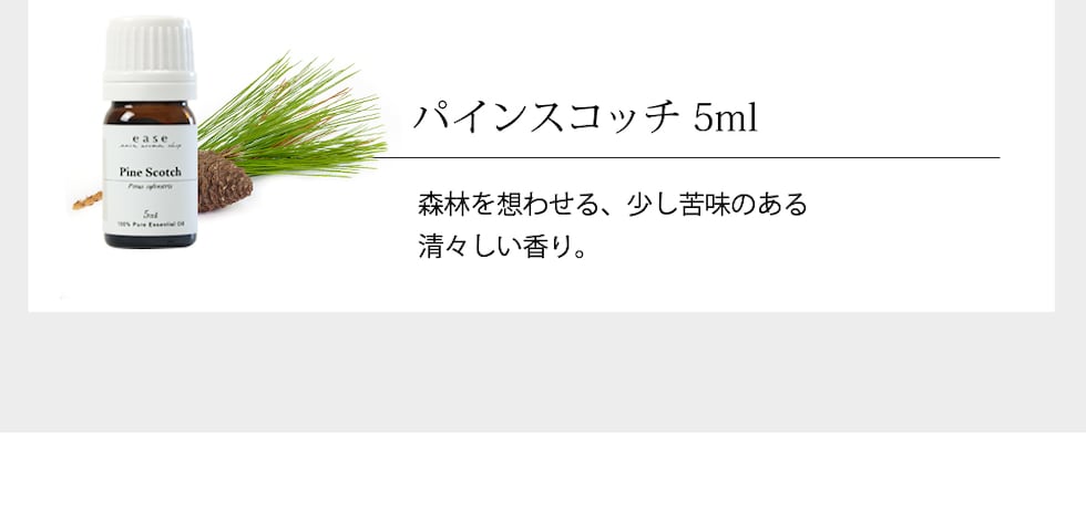パインスコッチ