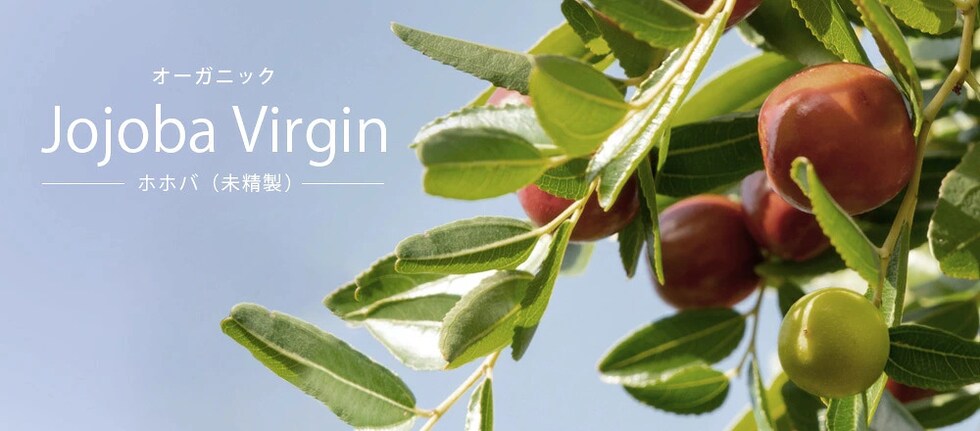 TOP画像 Jojoba Virgin ホホバ(未精製)