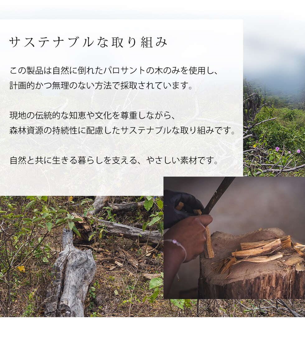 サステナブルな取り組み