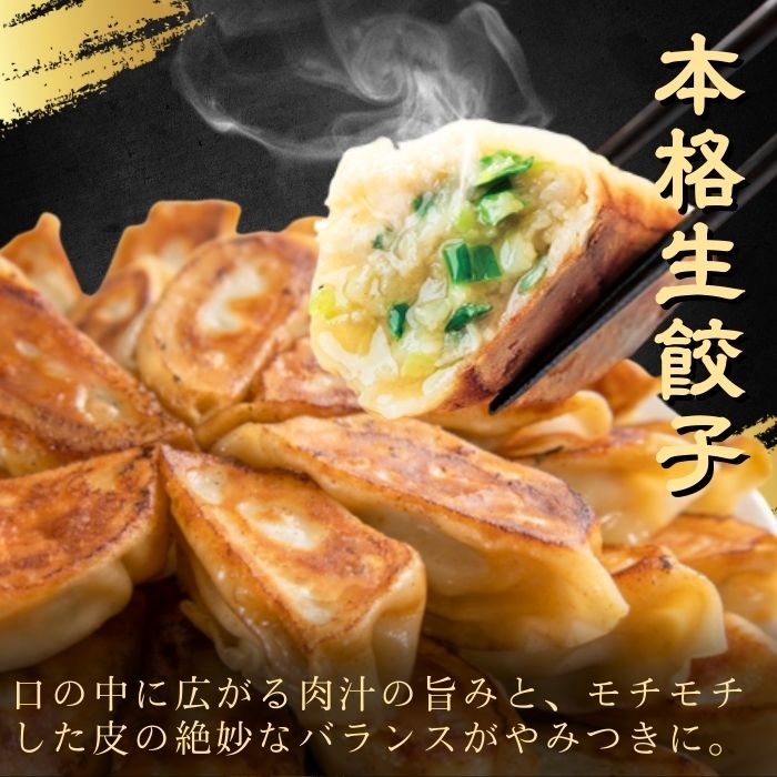 バーミヤングルメデビューセット