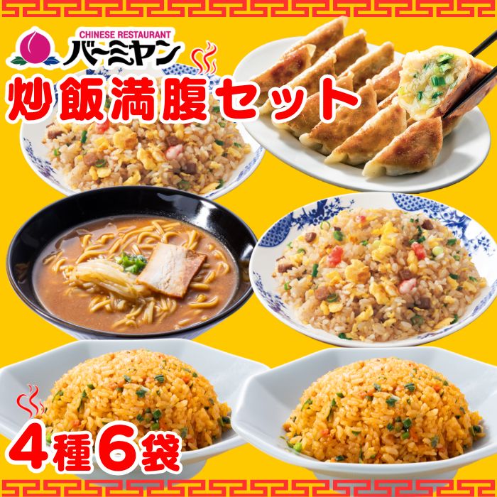 バーミヤン満腹セット