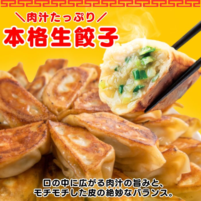 バーミヤン満腹セット