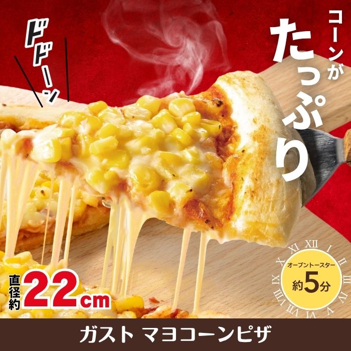 ガストグルメデビューセット