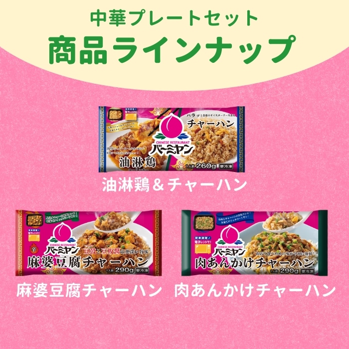 バーミヤンプレートセット