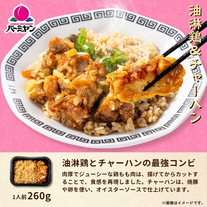 バーミヤンプレートセット