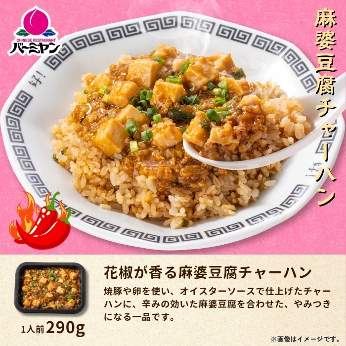 バーミヤンプレートセット