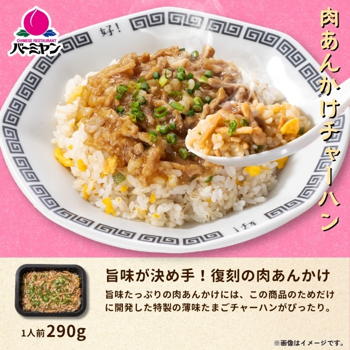 バーミヤンプレートセット